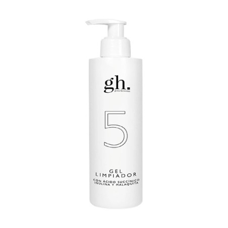 GH 5 GEL LIMPIADOR 250 ML